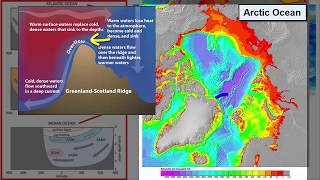 Thermohaline Currents [upl. by Jessey]