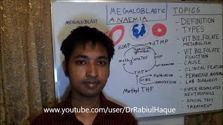 Megaloblastic Anaemia Vit B12 amp Folate Deficiency Anaemia Pernicious Anaemia HD [upl. by Jp]