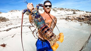 Catching GIANT CRAYFISH Barehanded For Food Living From The Ocean  Ep 194 [upl. by Esiled]