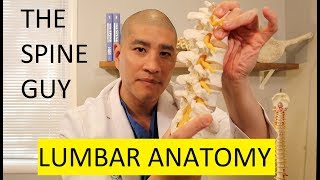 How to Read a Lumbar MRI [upl. by Nahsar]