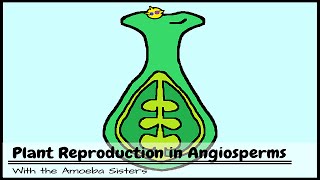 Plant Reproduction in Angiosperms [upl. by Anaerda]