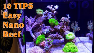 Top 10 TIPS for an EASY amp Successful Nano Reef Tank [upl. by Godfry]