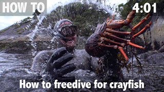 How to Freedive for Crayfish [upl. by Staford]