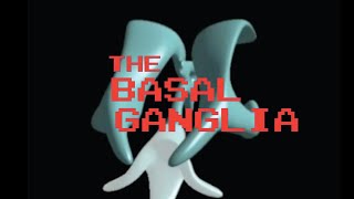 Neuroanatomy The Basal Ganglia [upl. by Lorry]