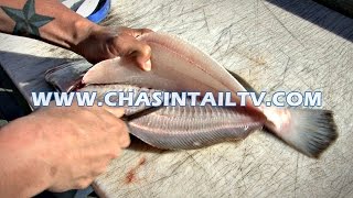 Fillet a Flounder in Under 15 seconds  Chasin Tail TV [upl. by Aciras]