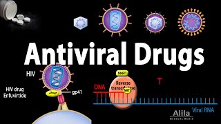 Antiviral Drugs Mechanisms of Action Animation [upl. by Behah]