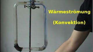 Wärmeströmung Konvektion in Wasser [upl. by Slen862]