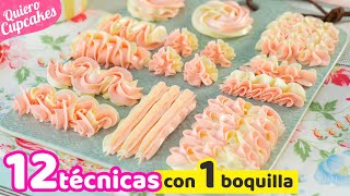 12 TIPOS DE DECORACIONES CON 1 SOLA BOQUILLA  USO Y MANEJO DE DUYA 1M  QUIERO CUPCAKES [upl. by Enegue]