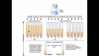 Microbiological Examination of Water MPN [upl. by Sorensen]