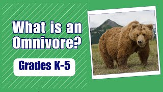 What is an Omnivore More Grades 35 Science [upl. by Bonn]