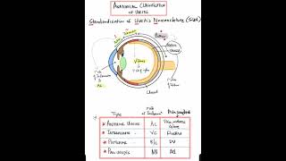 The Causes and Symptoms of Uveitis [upl. by Suter]