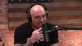 Joe Rogan on Catholic Priest Scandals [upl. by Vookles]