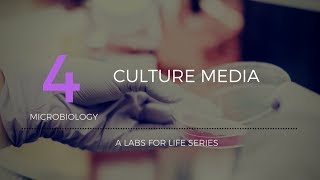 Culture Media [upl. by Fatma83]