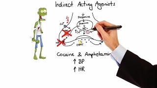 Pharmacology  ADRENERGIC RECEPTORS amp AGONISTS MADE EASY [upl. by Yzmar]