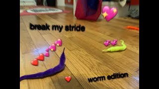 break my stride meme worm on a string edition [upl. by Marnie]