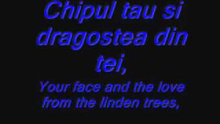 Dragostea Din Tei Lyrics and Translation360pflv [upl. by Allister]