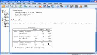 Split File  SPSS [upl. by Avilo]