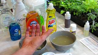 How to Make Soapy Water Garden Insect Sprays The Recipe Use amp Soap Selection  DIY Ep3 [upl. by Naloc]