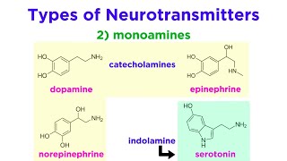 Neurotransmitters Type Structure and Function [upl. by Venetis]