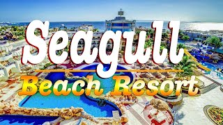 Seagull Beach Resort 4★ Hotel Hurghada Egypt [upl. by Nedarb]