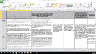 How to Create a Literature Matrix Excel [upl. by Kinom672]