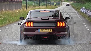 Ford Mustang 50 V8 Royal Crimson GT Performance  BURNOUT amp SOUND [upl. by Frasier5]