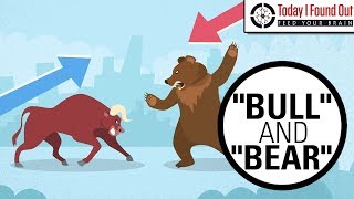 Why are Bull and Bear Markets Called That [upl. by Hal]