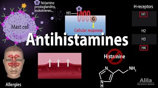 Histamine and Antihistamines Pharmacology Animation [upl. by Saree]