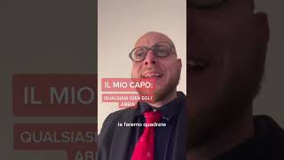 Il mio capo [upl. by Helga]