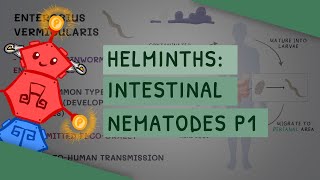 Helminths Intestinal Nematodes Part 1 features clinical importance diagnosis treatment [upl. by Smitty]