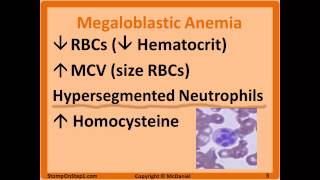 Folate amp B12 Deficiency Megaloblastic Anemia Hypersegmented Macrocytic Methylmalonic [upl. by Trstram]