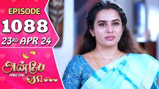 Anbe Vaa Serial  Episode 1088  23rd April 24  Virat  Shree Gopika  Saregama TV Shows Tamil [upl. by Giacinta]