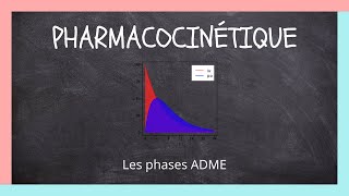 Pharmacocinétique  Les phases ADME [upl. by Eetsirk]