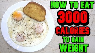 How To Eat 3000 Calories A Day To Gain Weight [upl. by Amalberga]