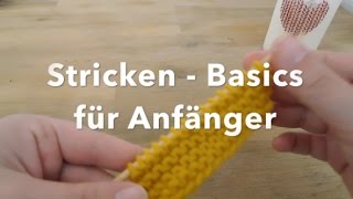 Tutorial Stricken  Basics für Anfänger [upl. by Noiramaj]