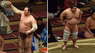 Sumo news June 12th Hakuho Takakeisho Ura amp McDonalds [upl. by Oringas]