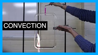 Convection Current  GCSE Physics Practical [upl. by Apurk]