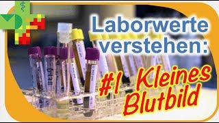 Blutbildung und Stammzellen  Krankheit verstehen [upl. by Gonzalez]