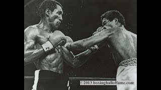 Wilfred Benitez vs Antonio Cervantes Highlights [upl. by Hardwick658]