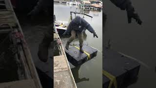 How to install dock floats in the water [upl. by Anileda]