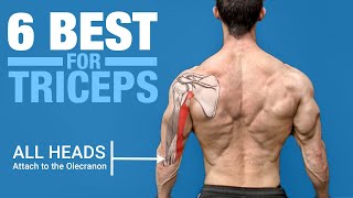 6 BEST Triceps Exercises ANATOMY BASED [upl. by Torray]