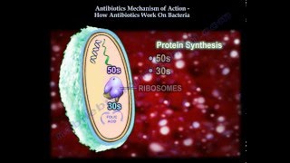 Antibiotics Mechanism Of Action Part 1  Everything You Need To Know  Dr Nabil Ebraheim [upl. by Elleinod]