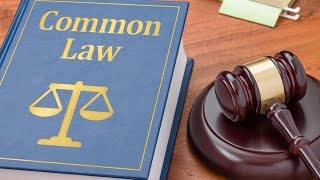 What is Common Law [upl. by Kort]