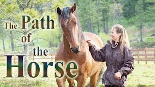 The Path of the Horse  Full Length documentary [upl. by Nhguahs]