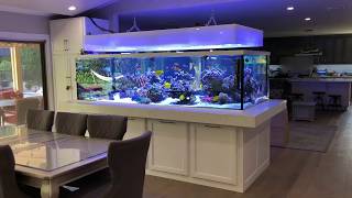 675 gallon Rainbow Reef tour [upl. by Norma975]