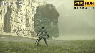 Shadow of the Colossus PS4 Gameplay Walkthrough Part 1  1st amp 2nd Colossus [upl. by Ennalorac]