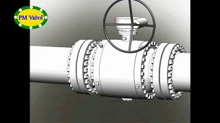 PM Valve Sealant injection [upl. by Hgielak916]