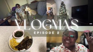 Daily Vlog  Cooking amp Carrying On  Vlogmas [upl. by Leicam839]