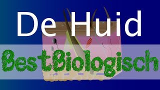 De huid BestBiologisch [upl. by Siletotsira]