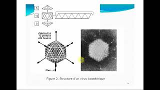 L1SA  Cours de Microbiologie Générale  Virologie [upl. by Jazmin]